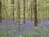 Hyacintenjogging 2016 - 086.jpg
